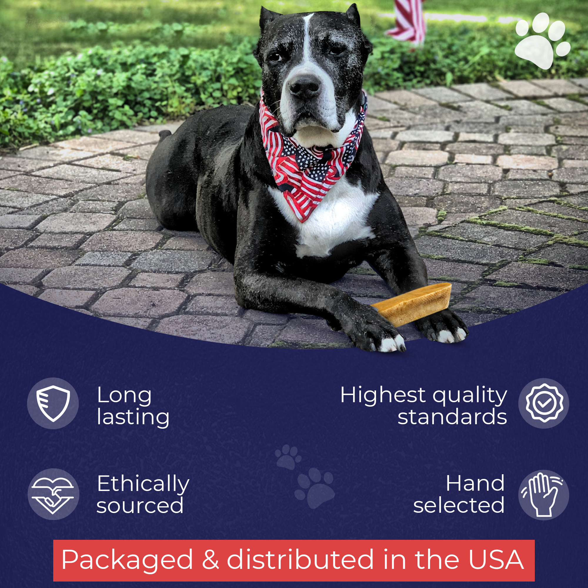 Yak Chews for Dogs – Premium, Long-Lasting Himalayan Cheese