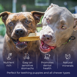 Premium Himalayan Yak Chews