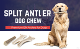 Whole & Split Elk Antler