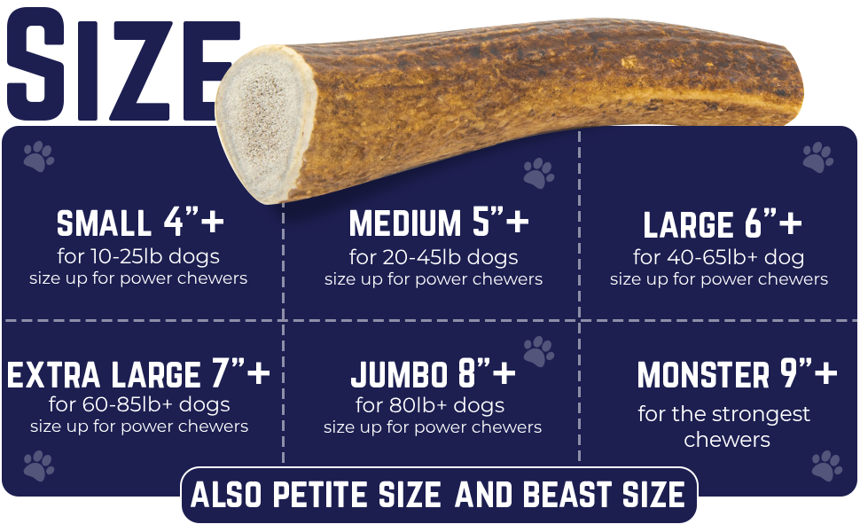 Whole & Split Elk Antler - Devil Dog Pet Co