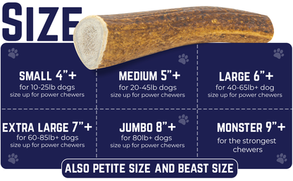 Whole & Split Elk Antler - Devil Dog Pet Co