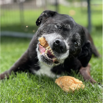 Himalayan Yak Cheese Puff Nuggets