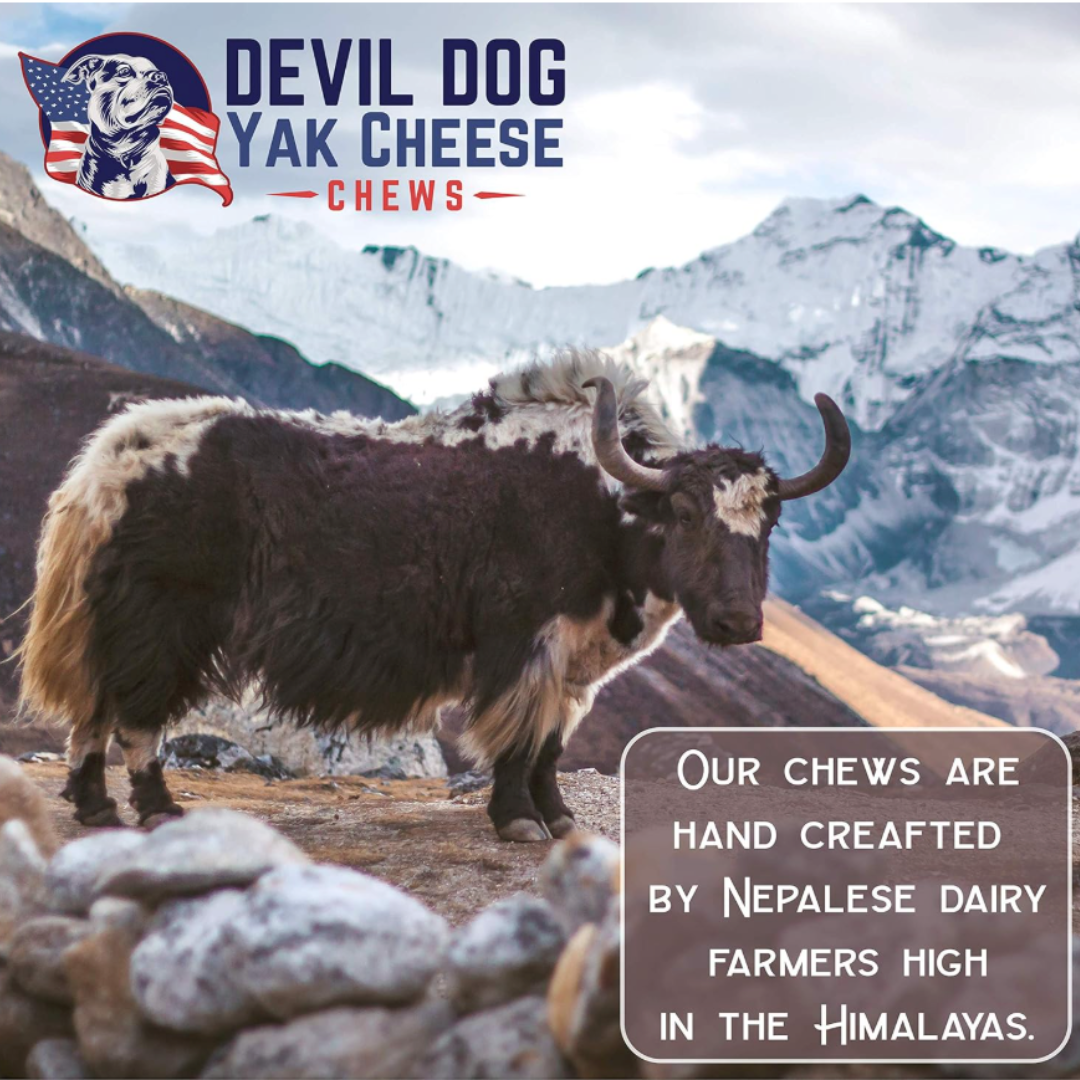 Himalayan Yak Cheese Puff Nuggets