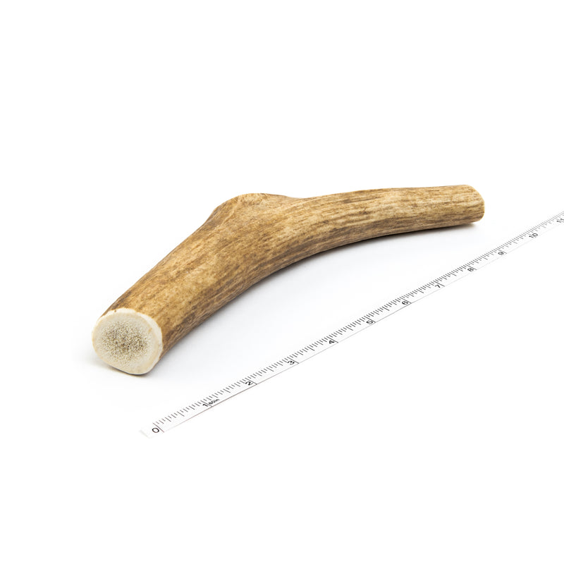 Big dog hotsell antler chews