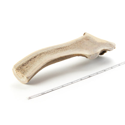 Monster (XXXL) Split Elk Antler Dog Chew - Devil Dog Pet Co