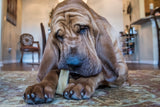 Monster - Himalayan Dog Chew